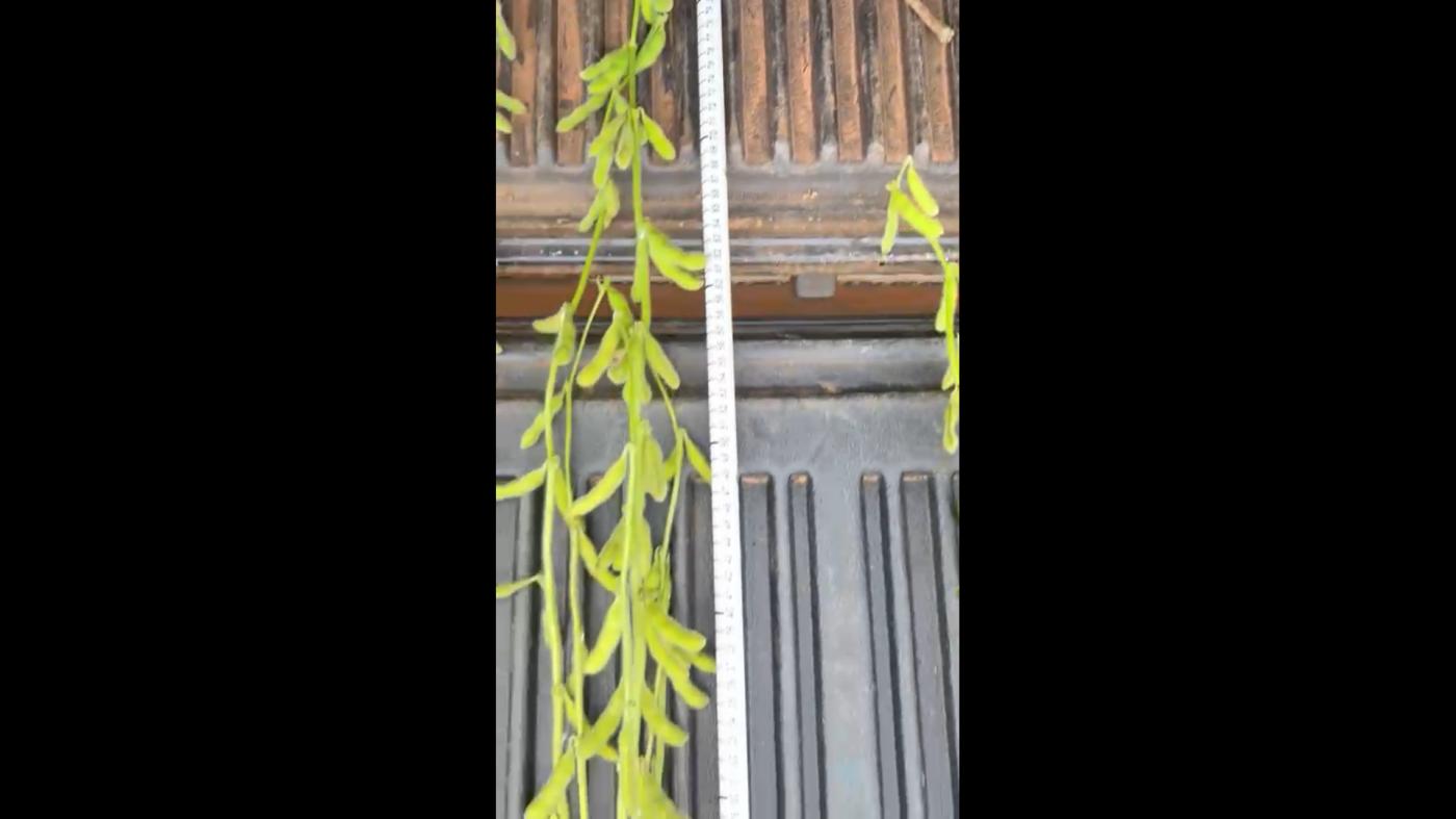 Fazenda, 1 m² - Foto 2