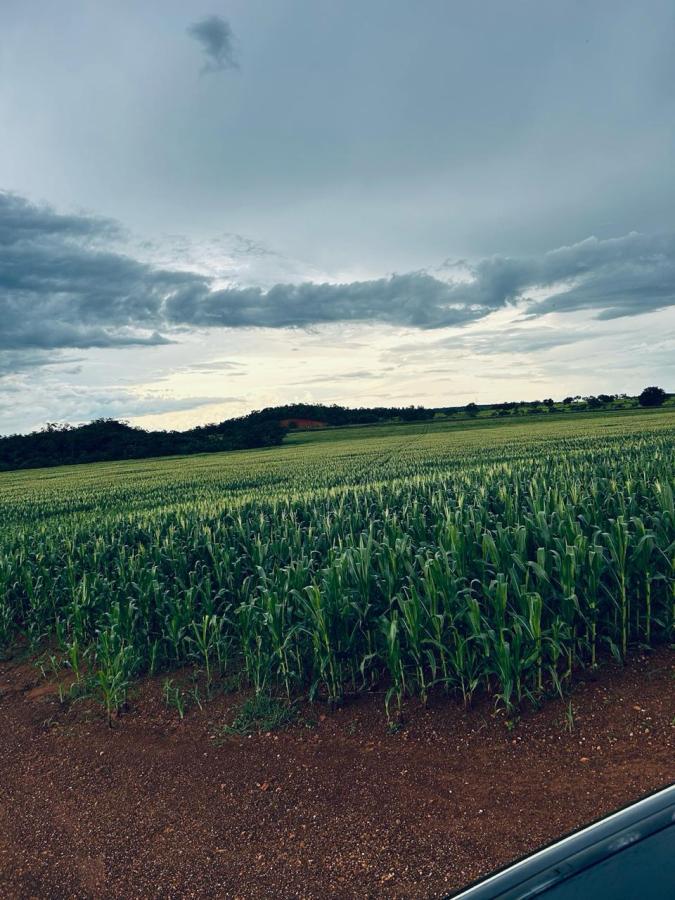 Fazenda, 1 m² - Foto 3