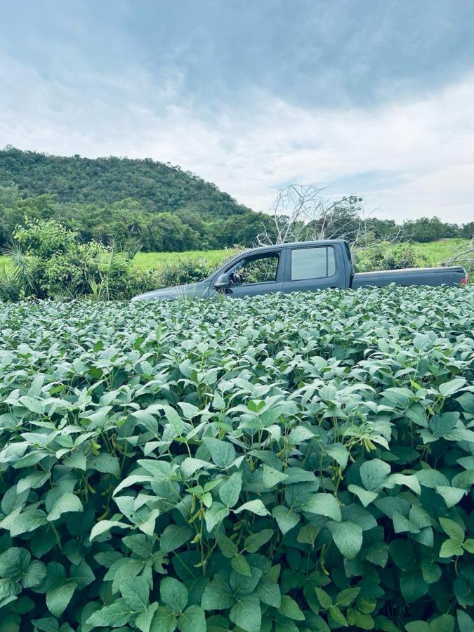 Fazenda, 1 m² - Foto 1