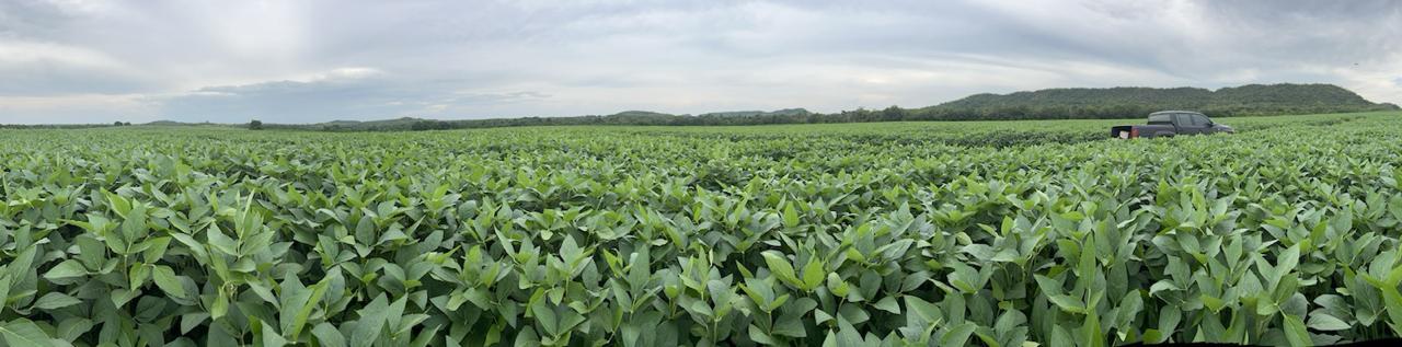 Fazenda, 1 m² - Foto 7