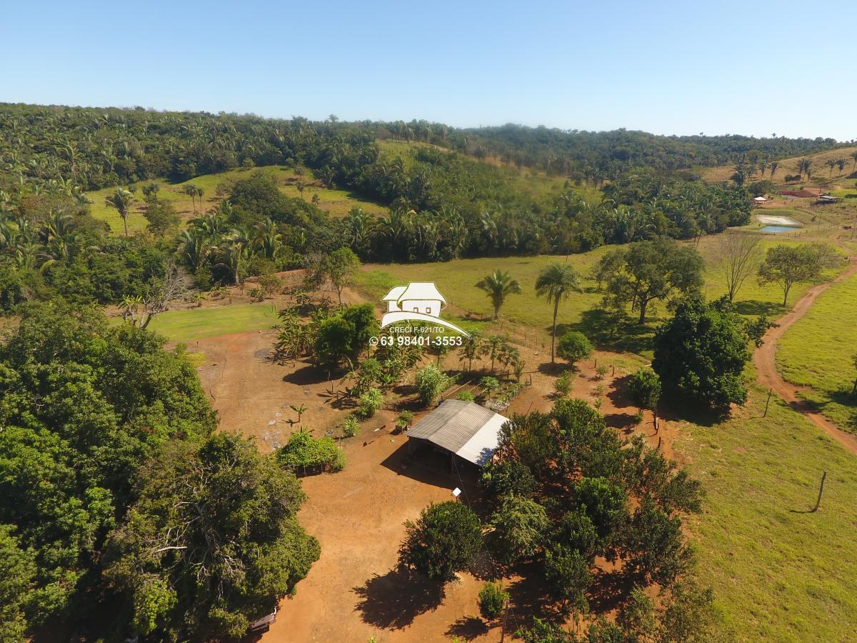 Fazenda, 62 hectares - Foto 6
