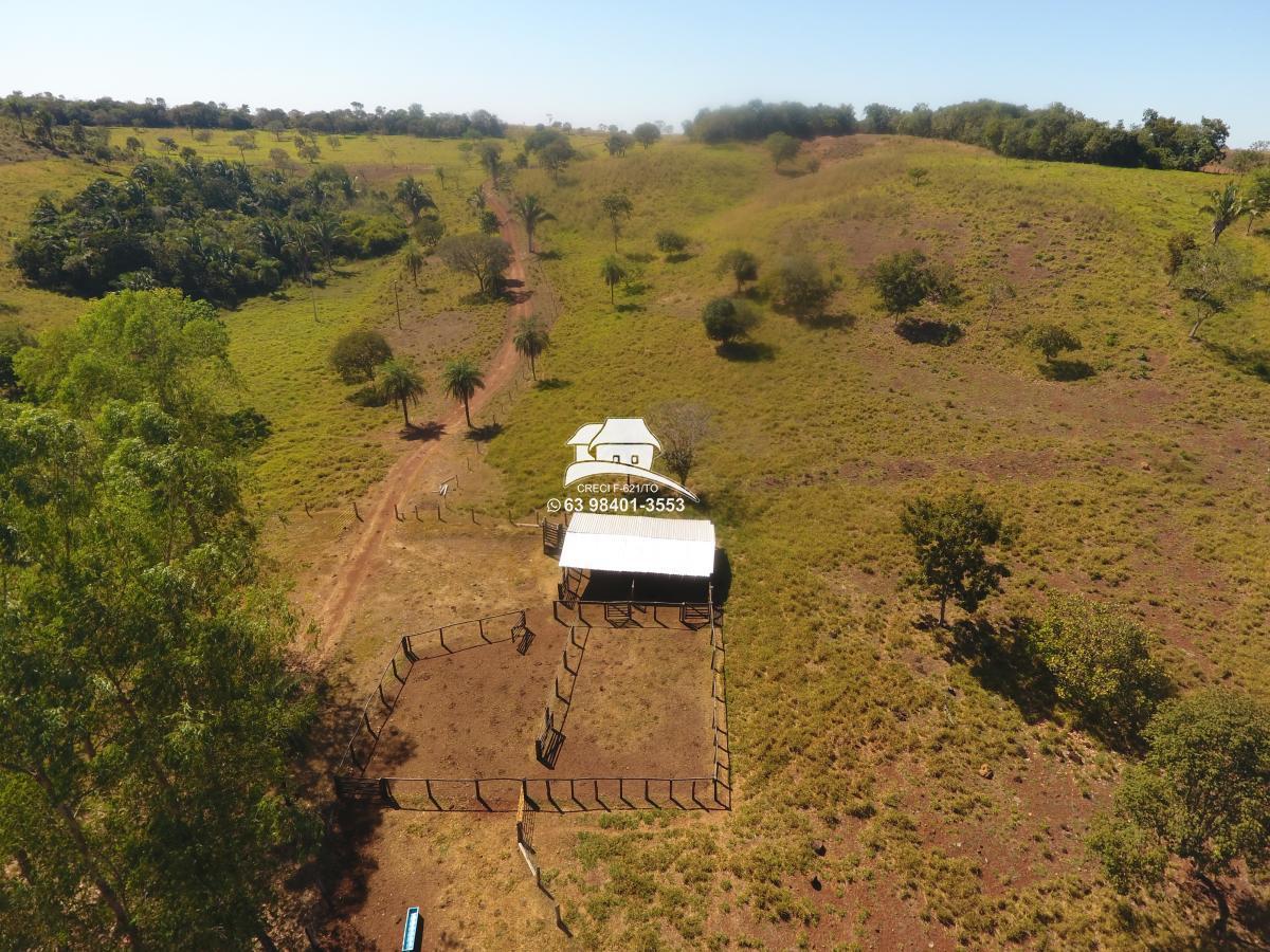 Fazenda, 62 hectares - Foto 8