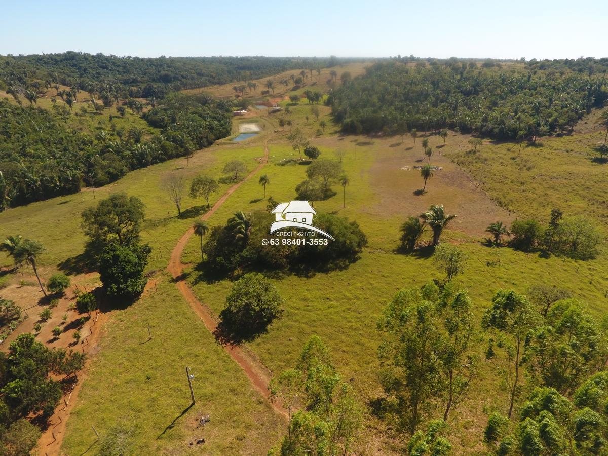 Fazenda, 62 hectares - Foto 9