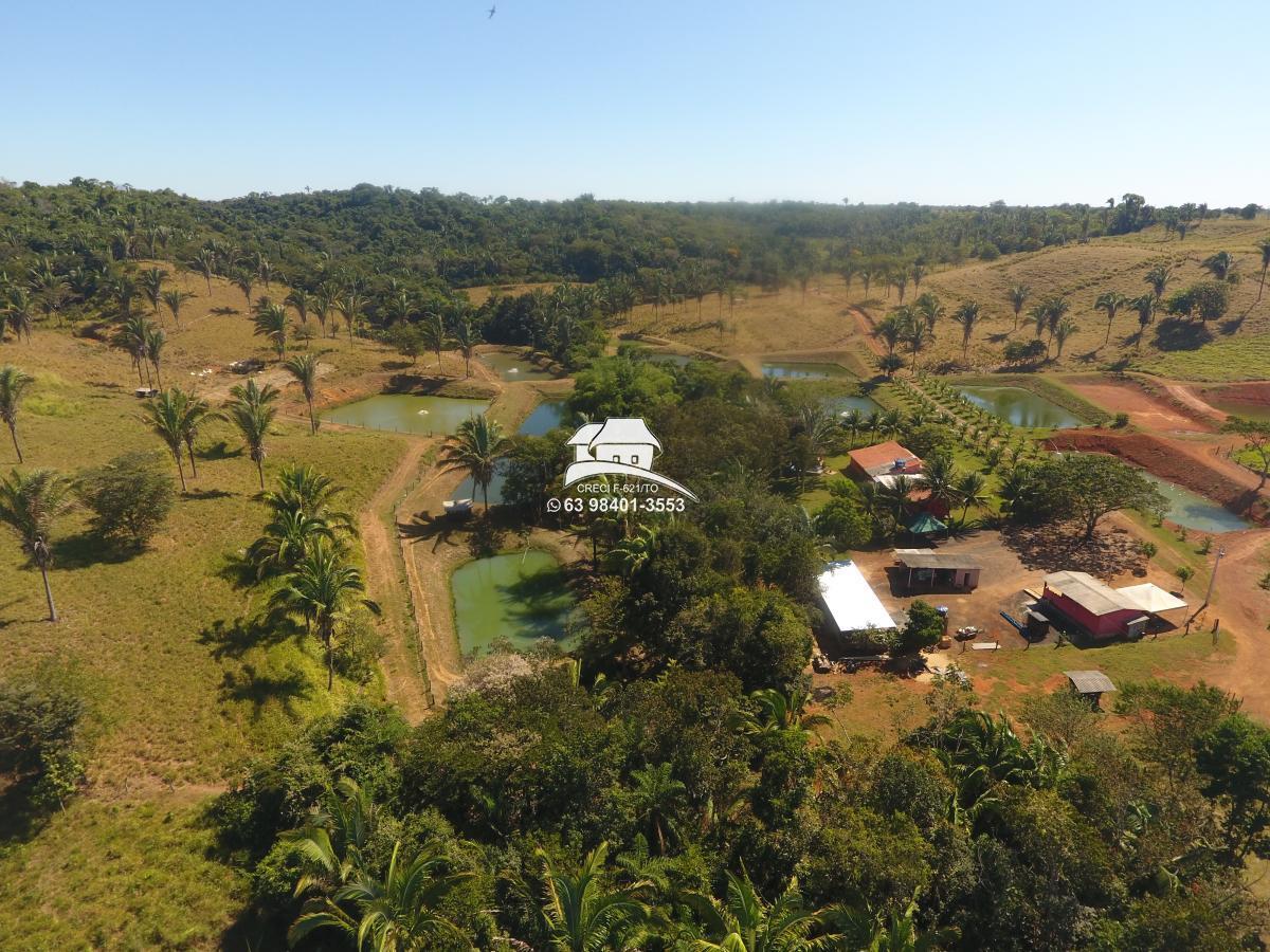 Fazenda, 62 hectares - Foto 13