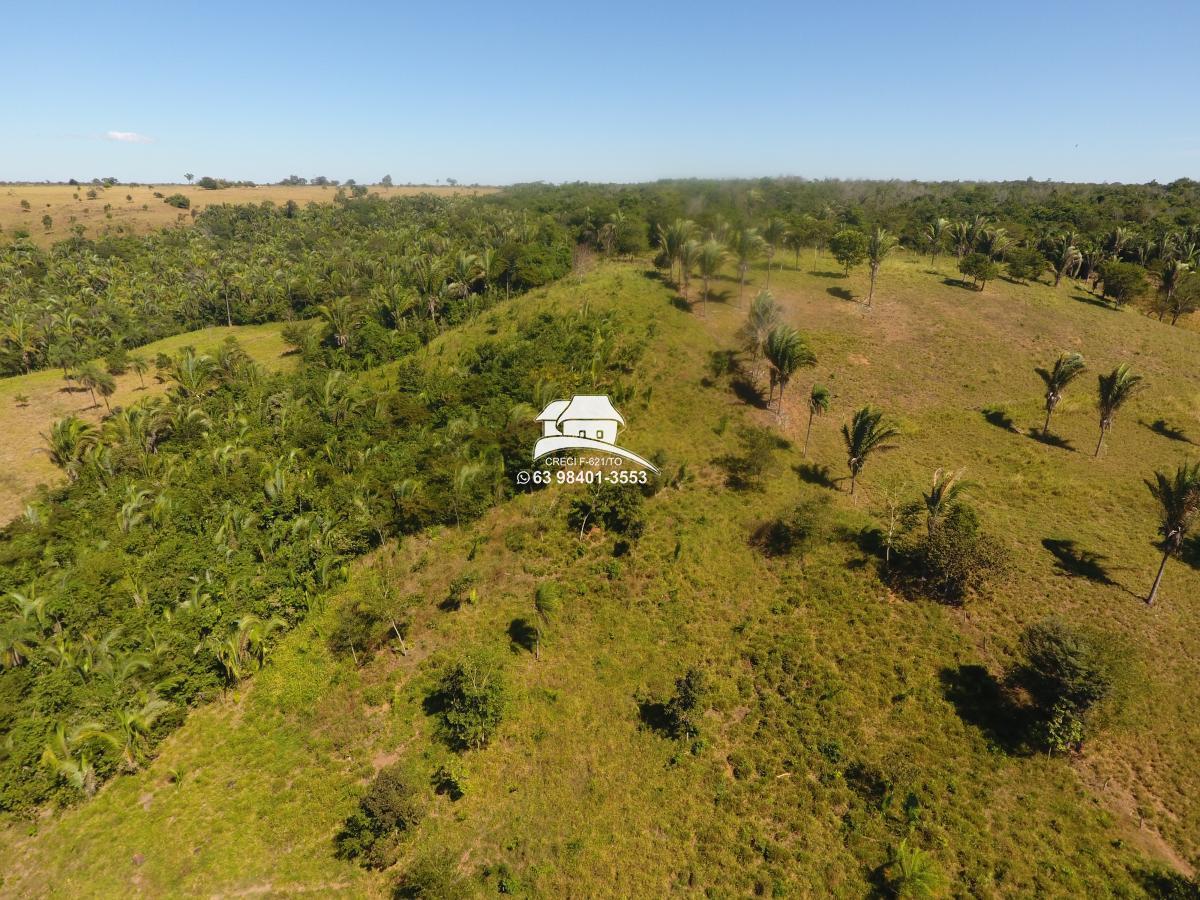 Fazenda, 62 hectares - Foto 14