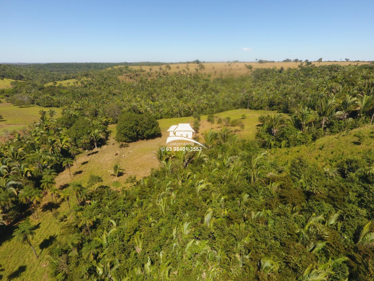 Fazenda, 62 hectares - Foto 15