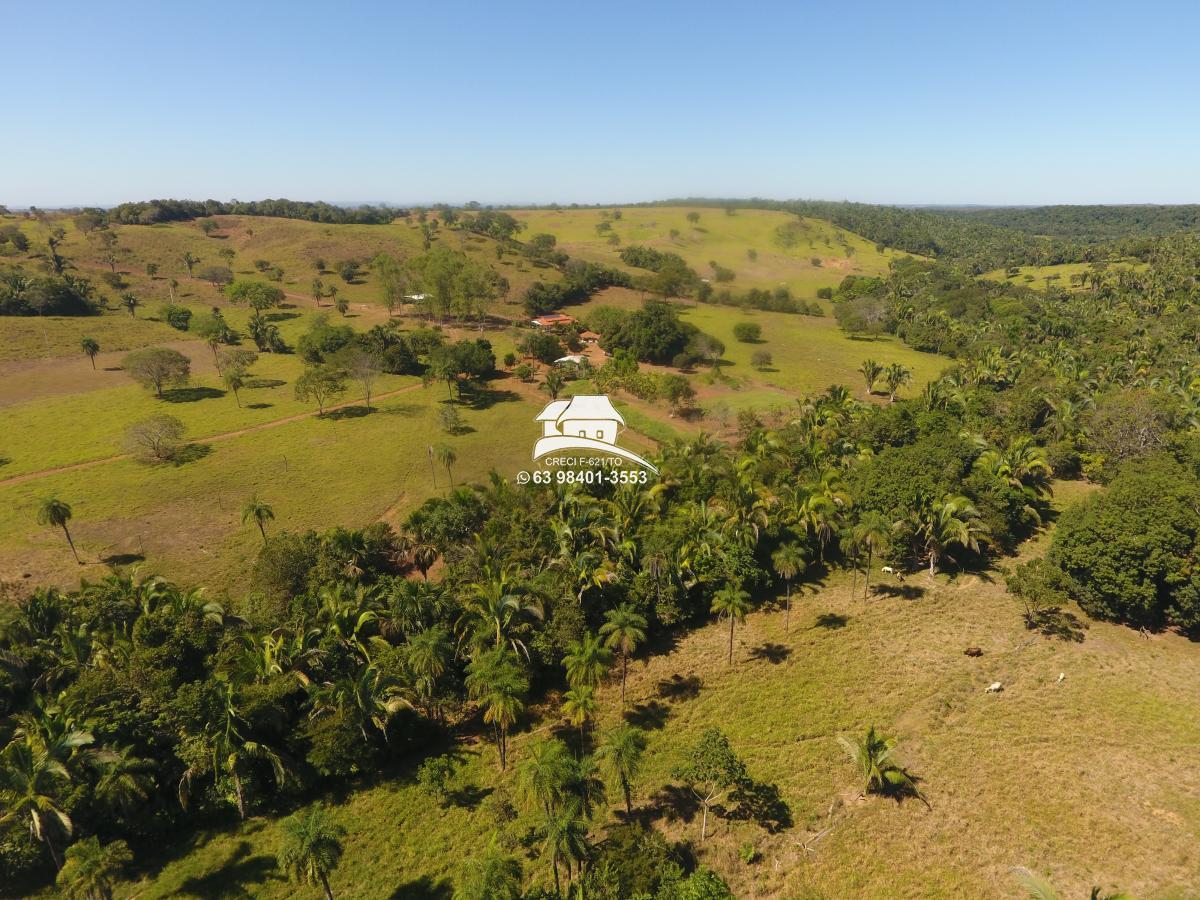 Fazenda, 62 hectares - Foto 16