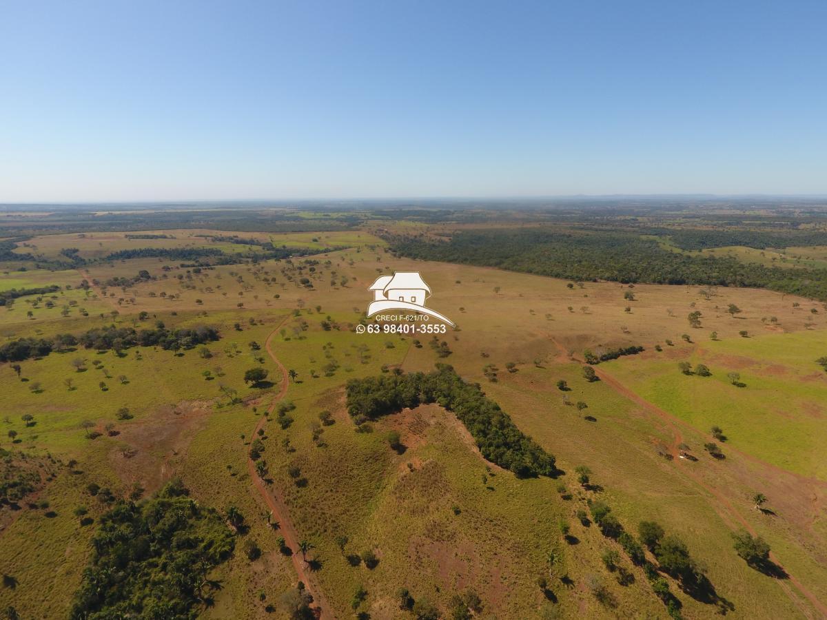 Fazenda, 62 hectares - Foto 31