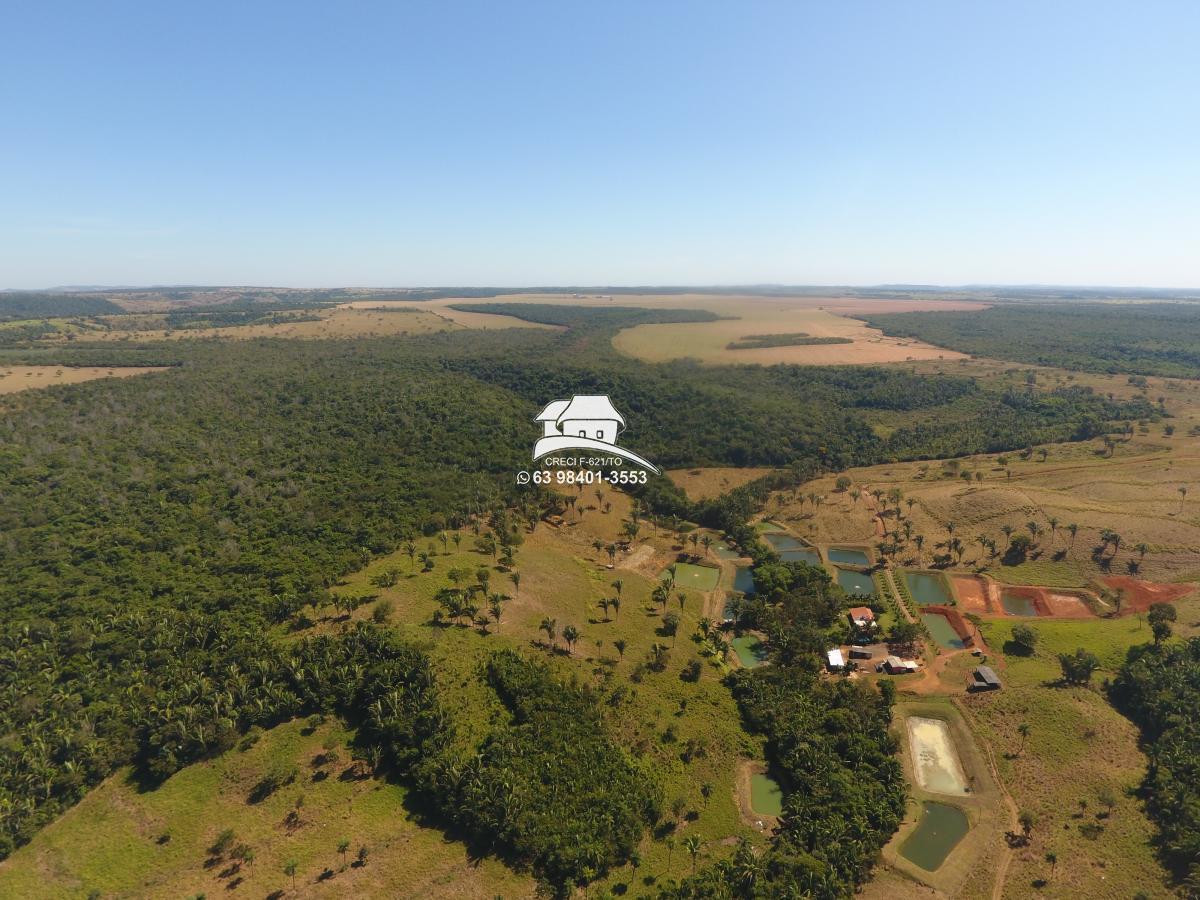 Fazenda, 62 hectares - Foto 32