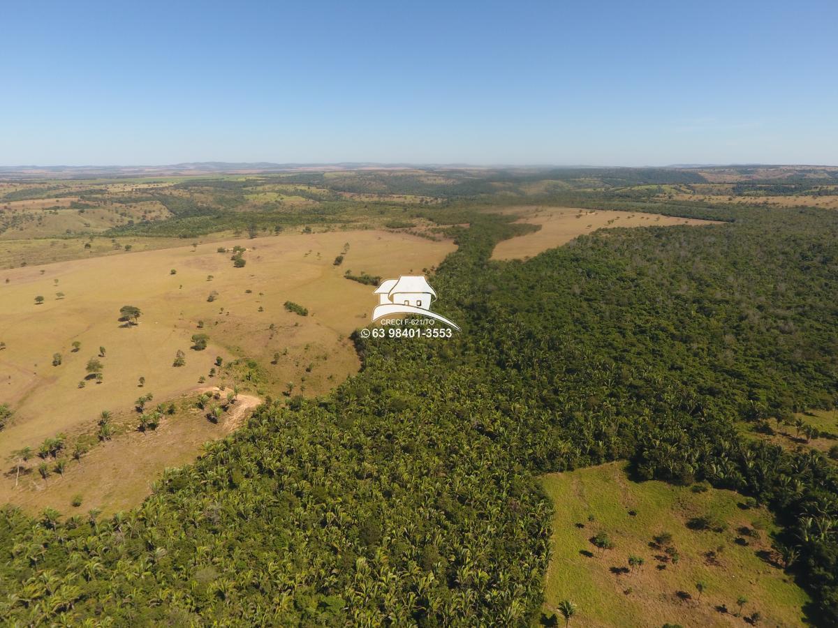 Fazenda, 62 hectares - Foto 33