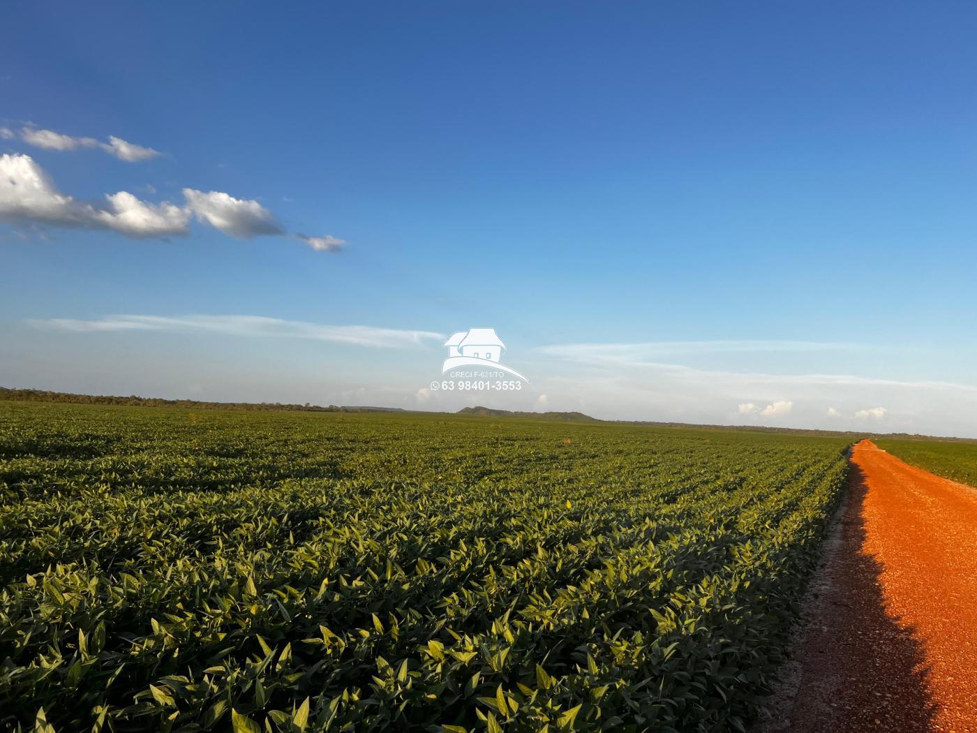 Fazenda, 1 m² - Foto 3