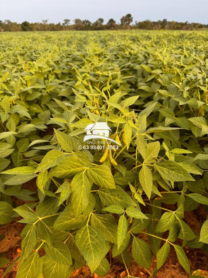 Fazenda, 1 m² - Foto 6