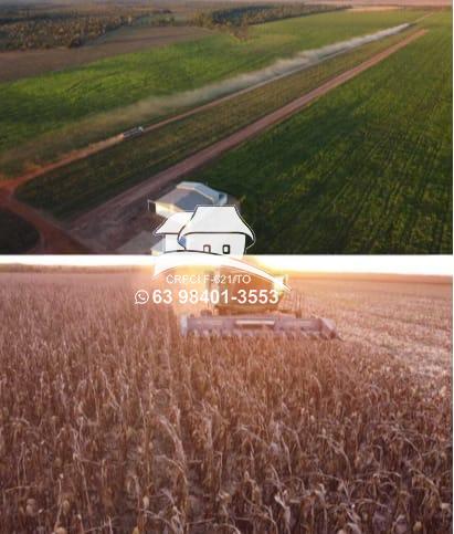 Fazenda, 1 m² - Foto 10