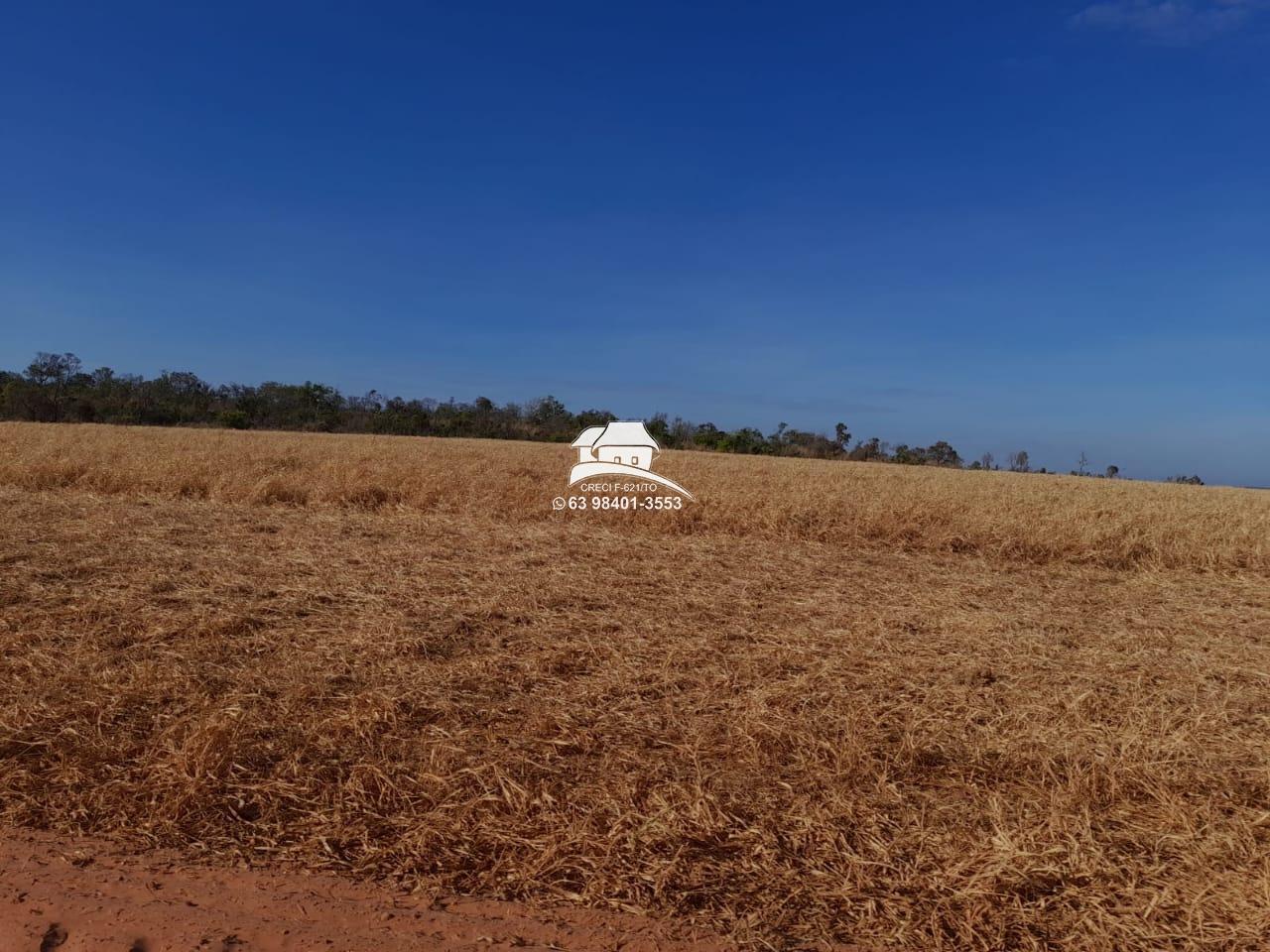 Fazenda, 1 m² - Foto 22