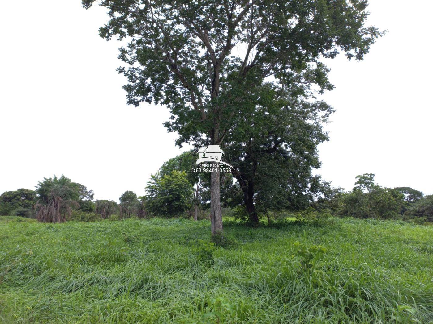 Fazenda, 1 m² - Foto 3