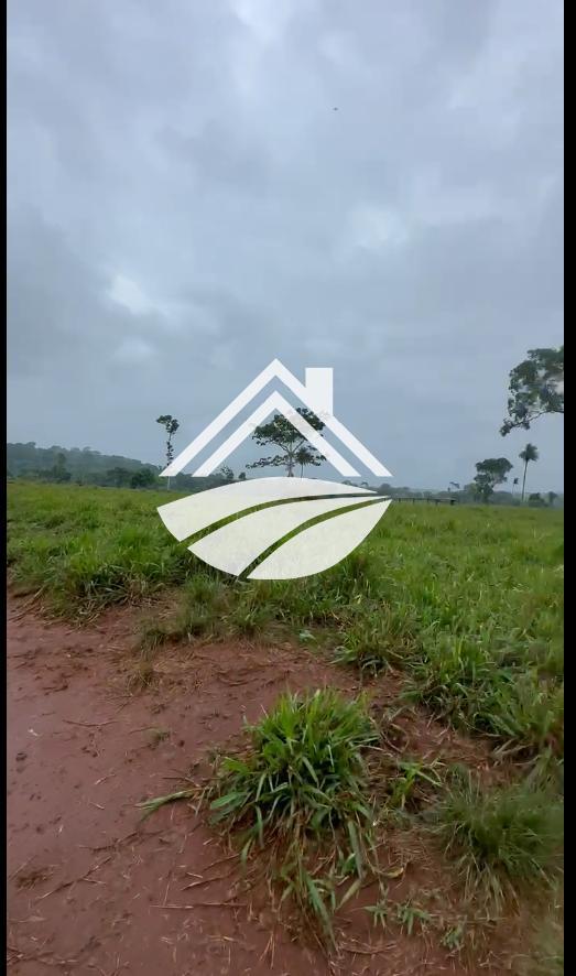 Fazenda, 1 m² - Foto 2