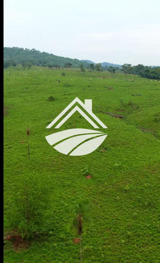 Fazenda, 1 m² - Foto 3