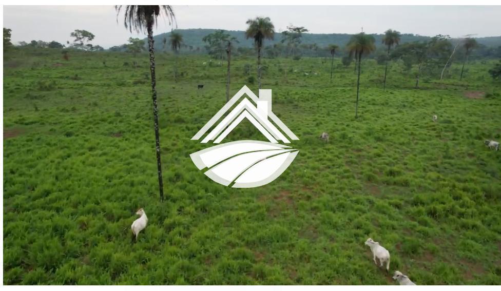 Fazenda, 1 m² - Foto 6