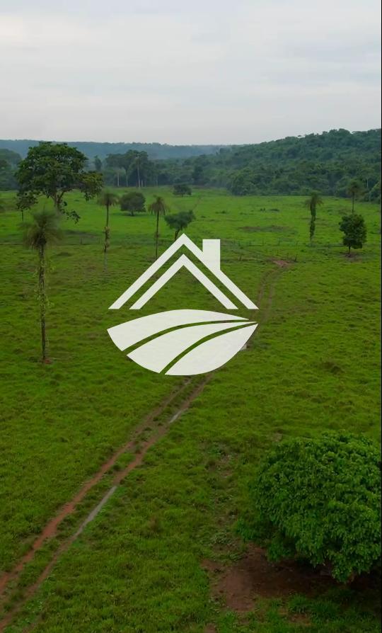 Fazenda, 1 m² - Foto 7