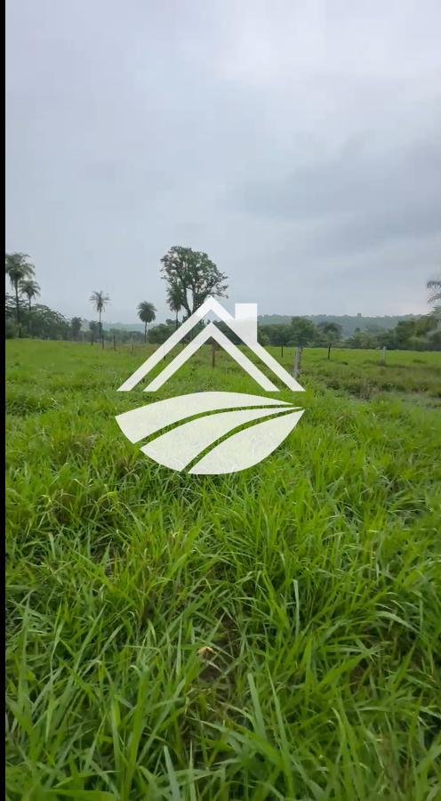 Fazenda, 1 m² - Foto 8