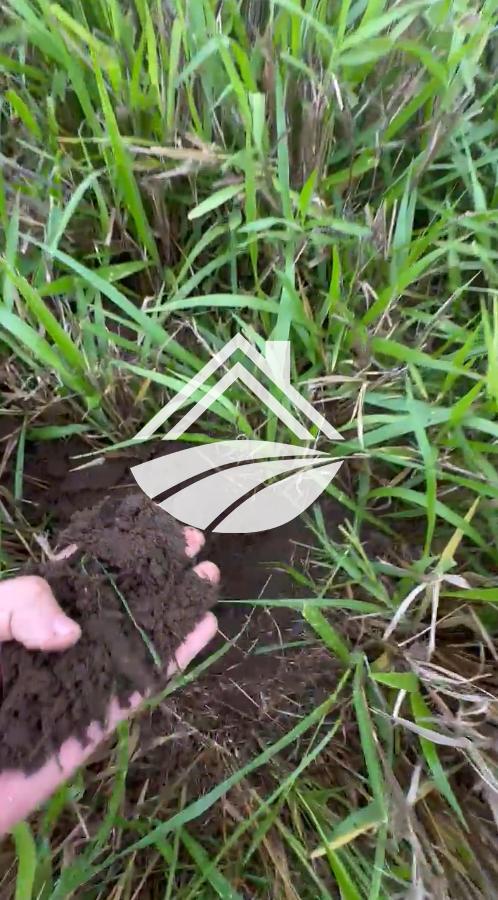 Fazenda, 1 m² - Foto 1