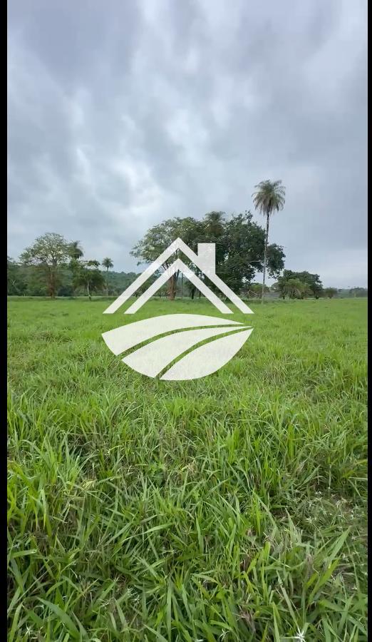 Fazenda, 1 m² - Foto 9