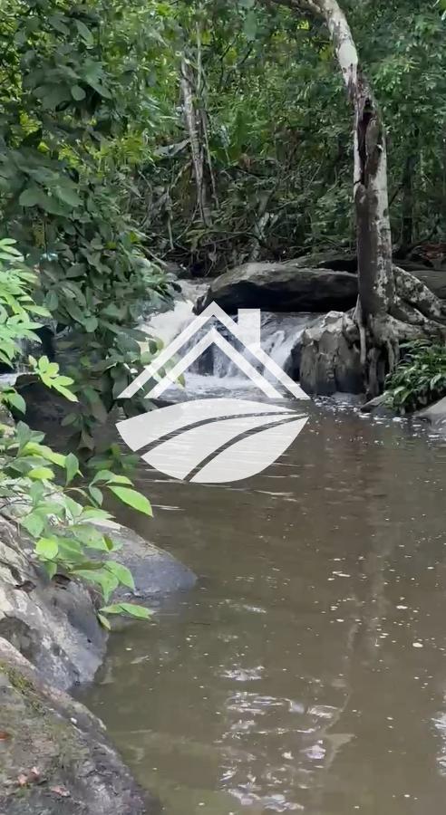 Fazenda, 1 m² - Foto 11