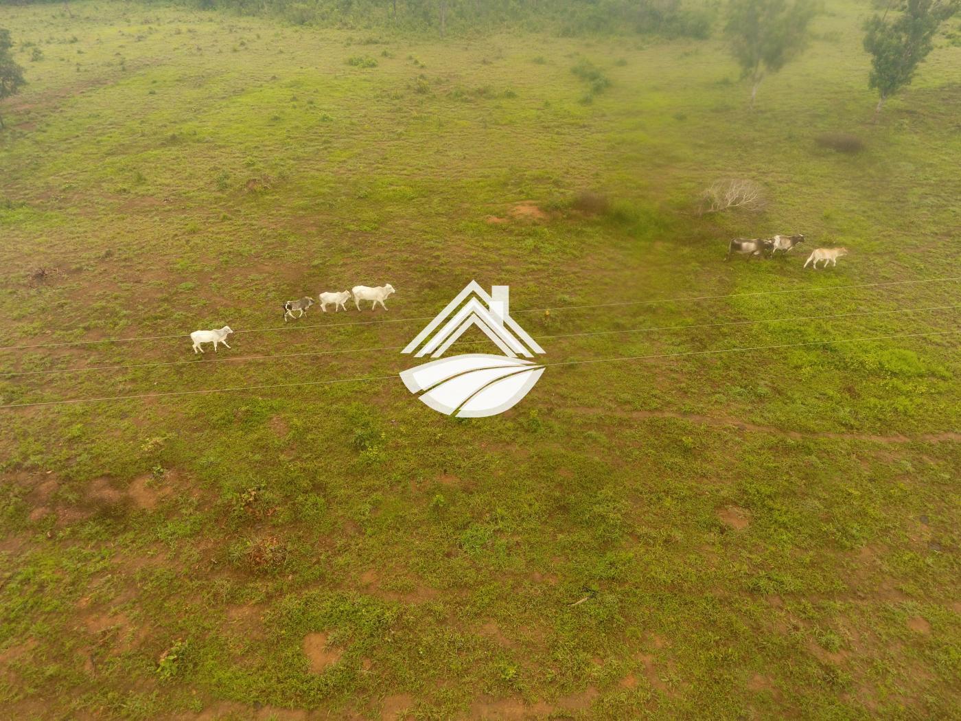 Fazenda, 1 m² - Foto 6