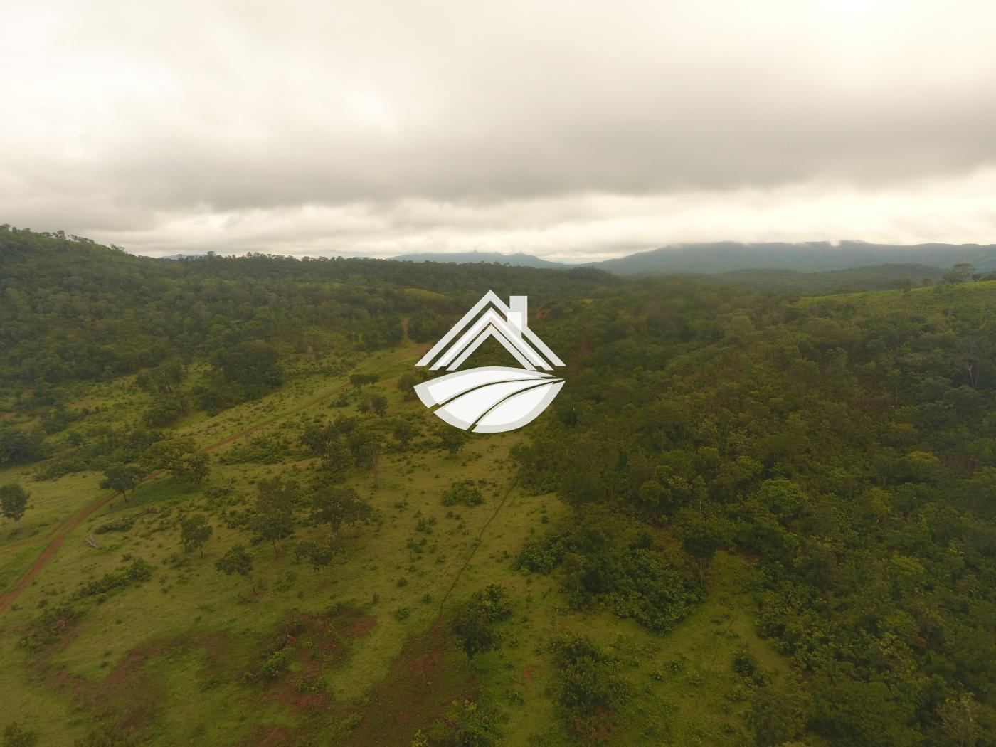 Fazenda, 1 m² - Foto 10