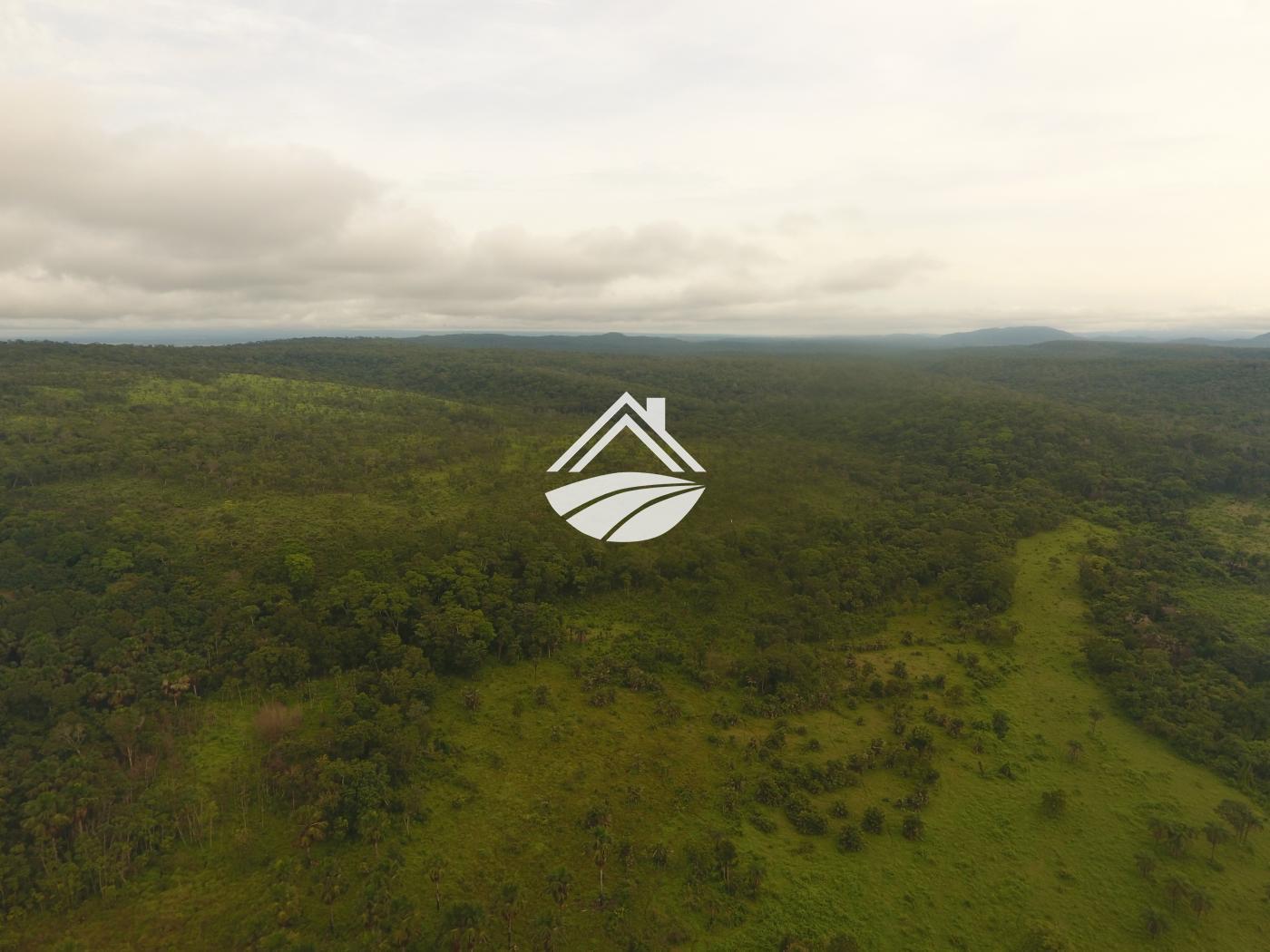 Fazenda, 1 m² - Foto 5