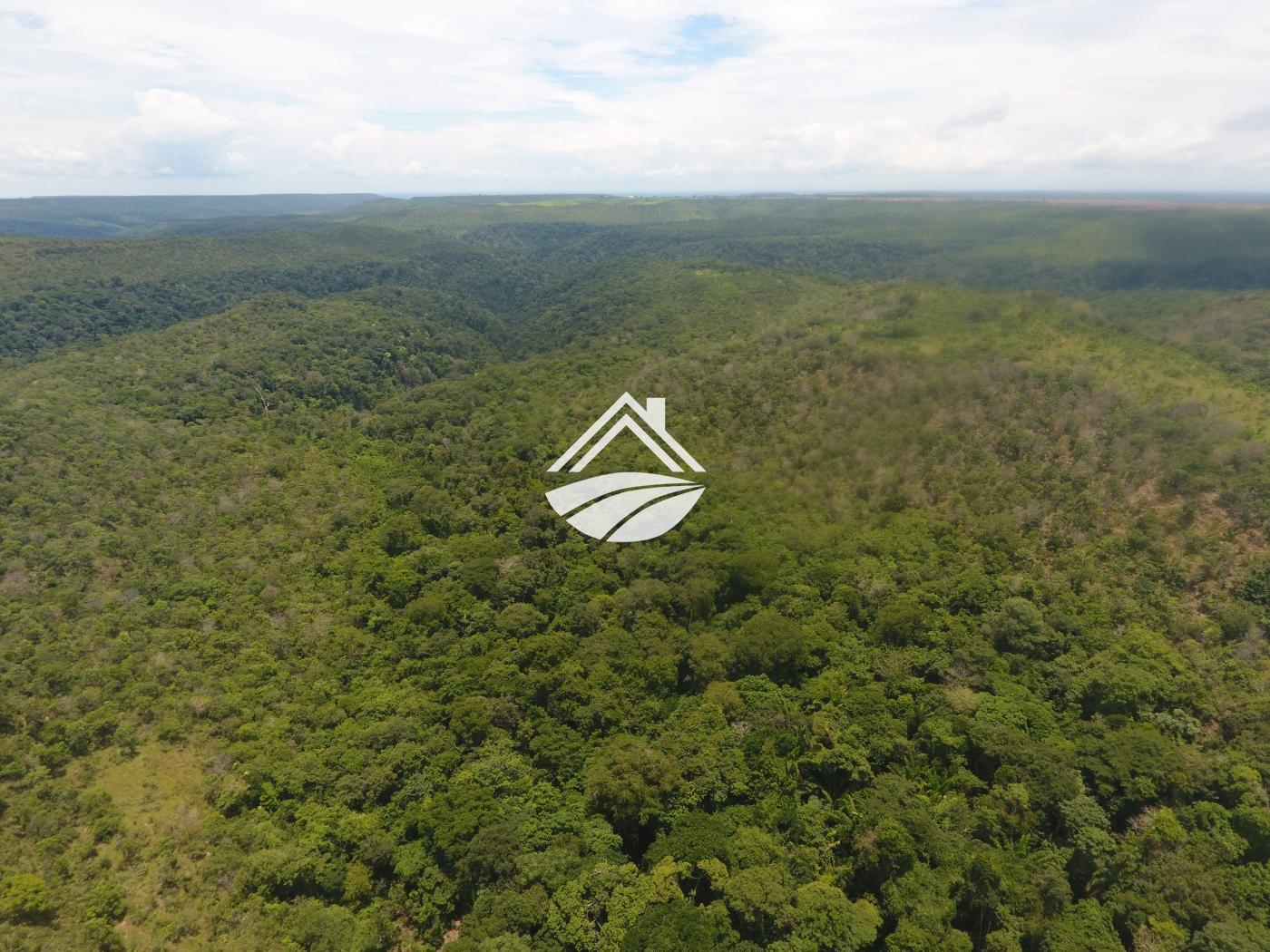 Fazenda, 1 m² - Foto 8