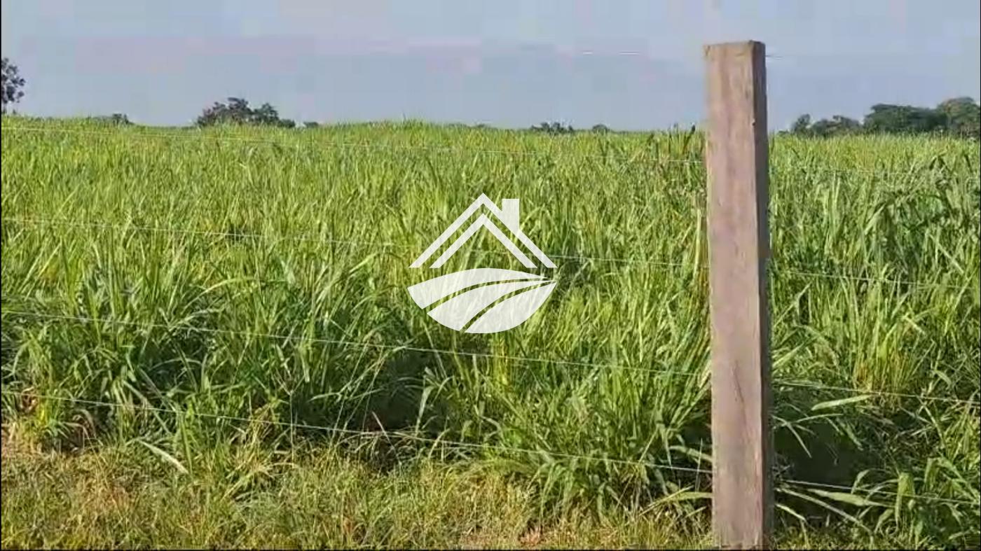 Fazenda, 1 m² - Foto 2