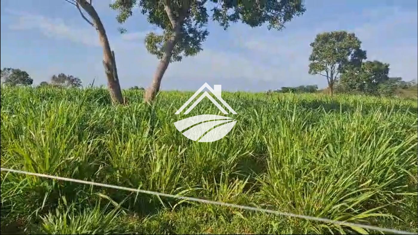 Fazenda, 1 m² - Foto 3