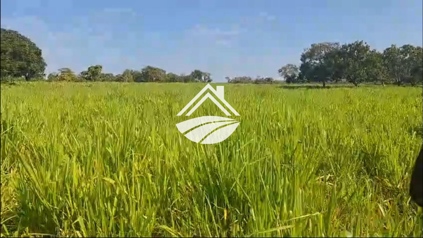 Fazenda, 1 m² - Foto 6