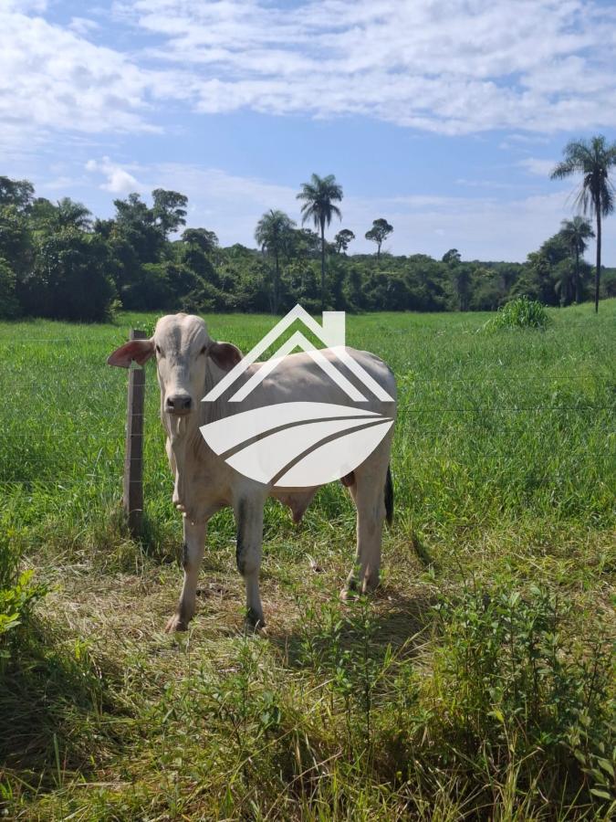 Fazenda, 1 m² - Foto 8