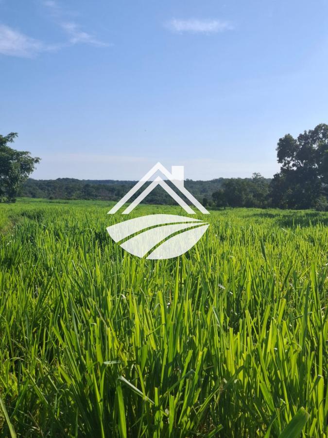 Fazenda, 1 m² - Foto 9