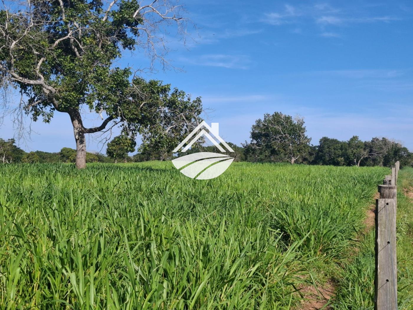 Fazenda, 1 m² - Foto 13