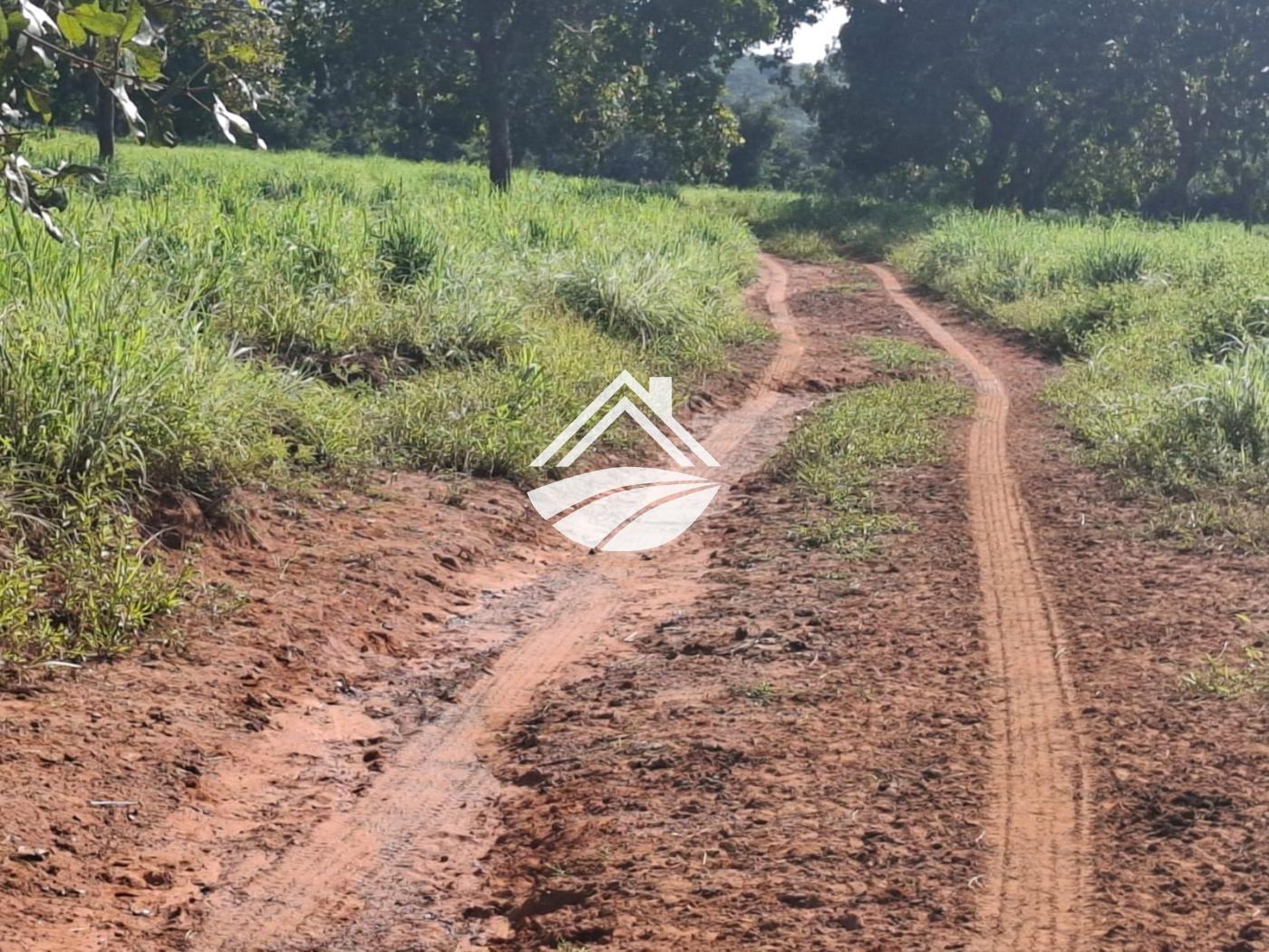 Fazenda, 1 m² - Foto 16