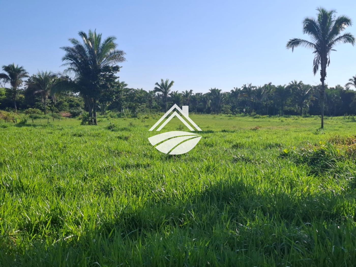 Fazenda, 1 m² - Foto 19