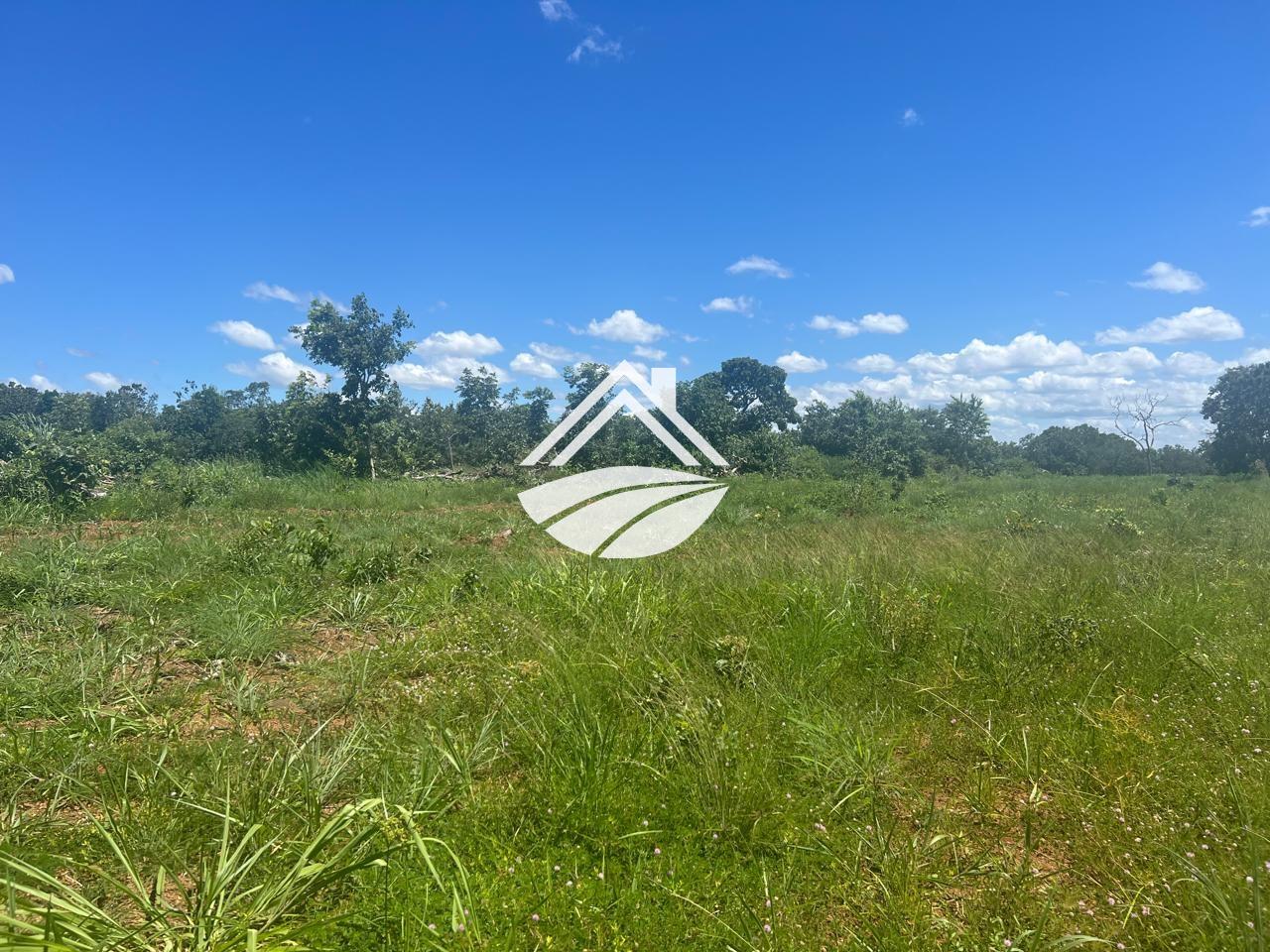 Fazenda, 1 m² - Foto 33