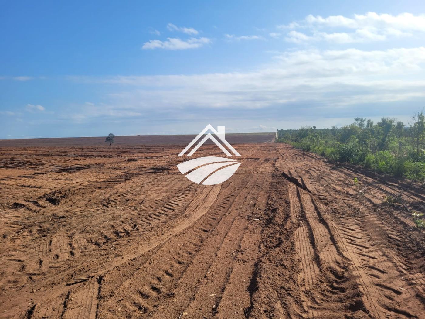 Fazenda, 1 m² - Foto 10