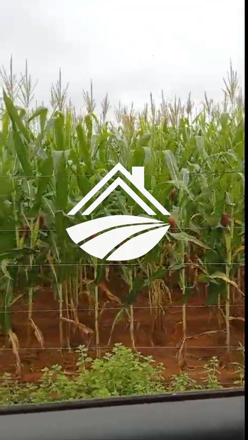 Fazenda, 1 m² - Foto 4