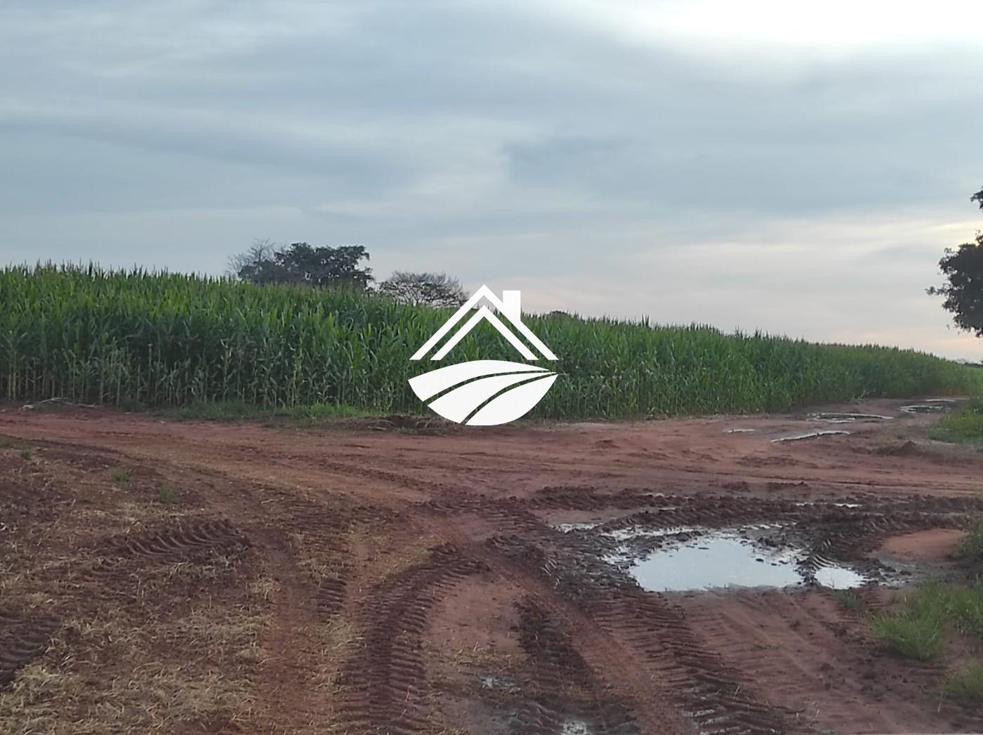 Fazenda, 1 m² - Foto 1