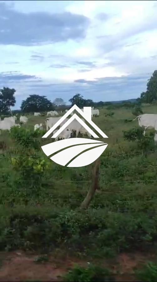 Fazenda, 1 m² - Foto 10