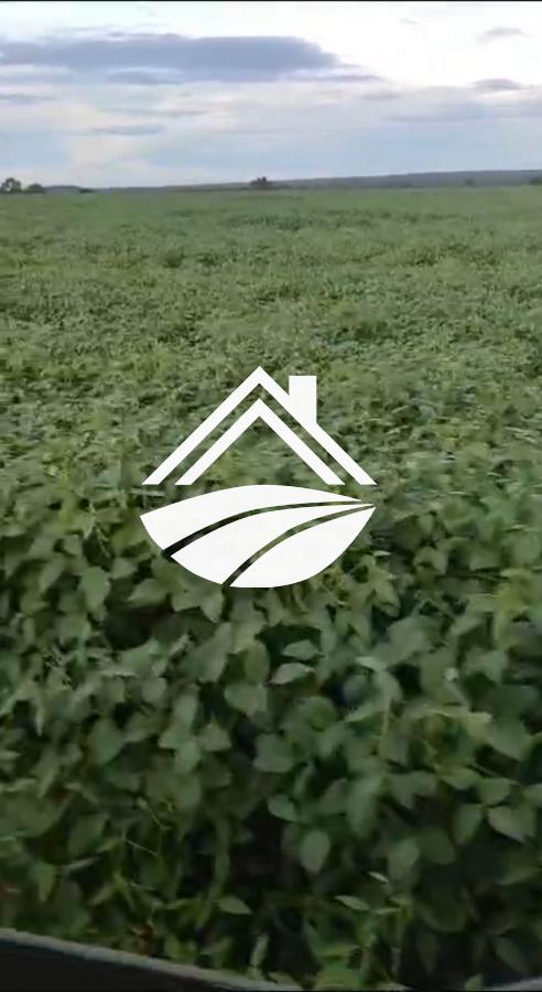 Fazenda, 1 m² - Foto 11