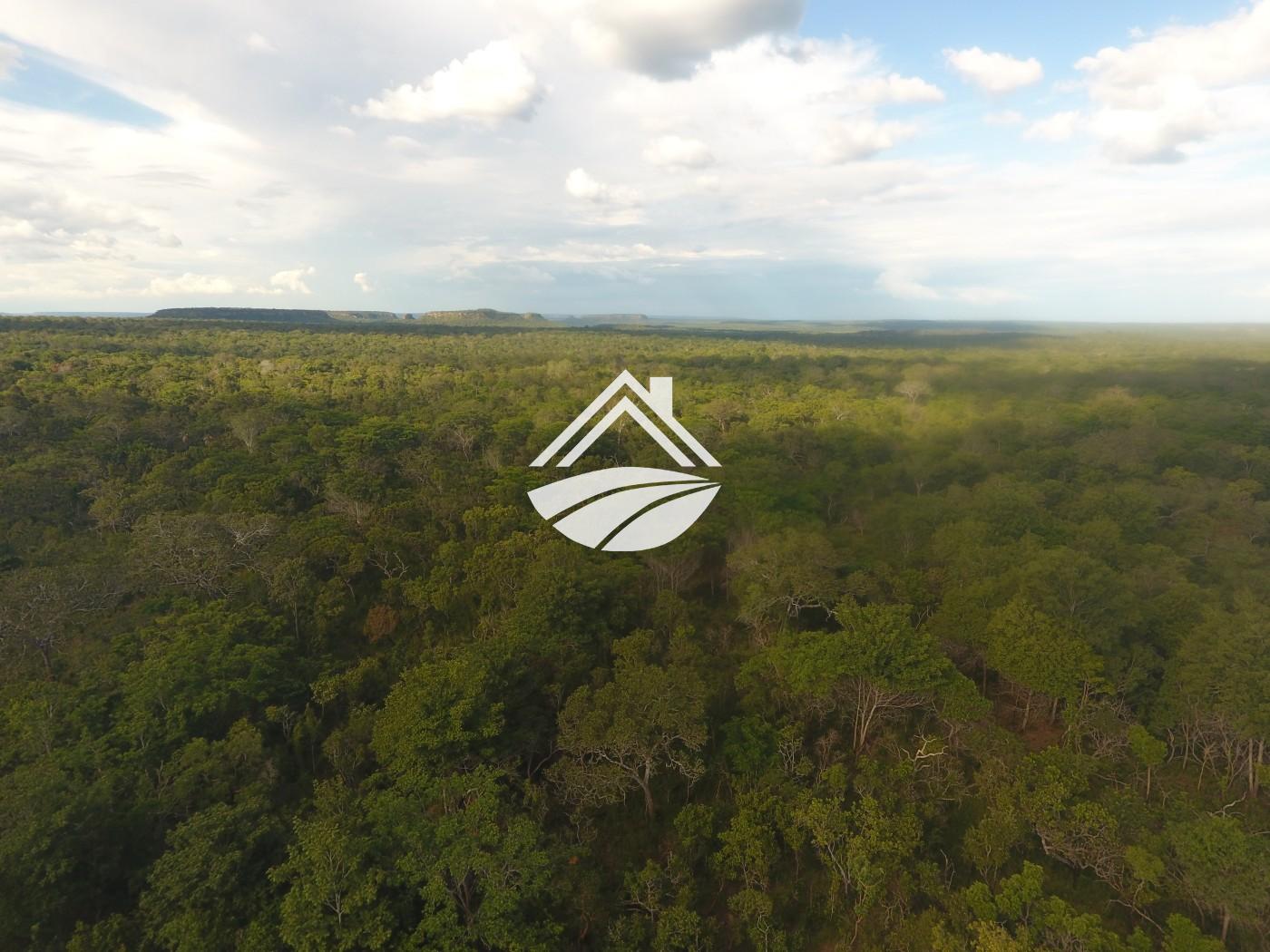 Fazenda, 1 m² - Foto 6