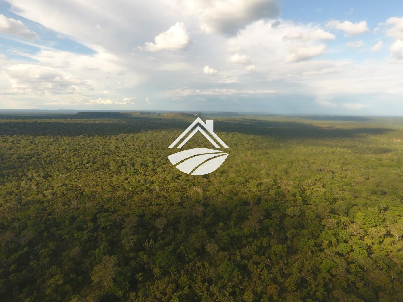 Fazenda, 1 m² - Foto 9