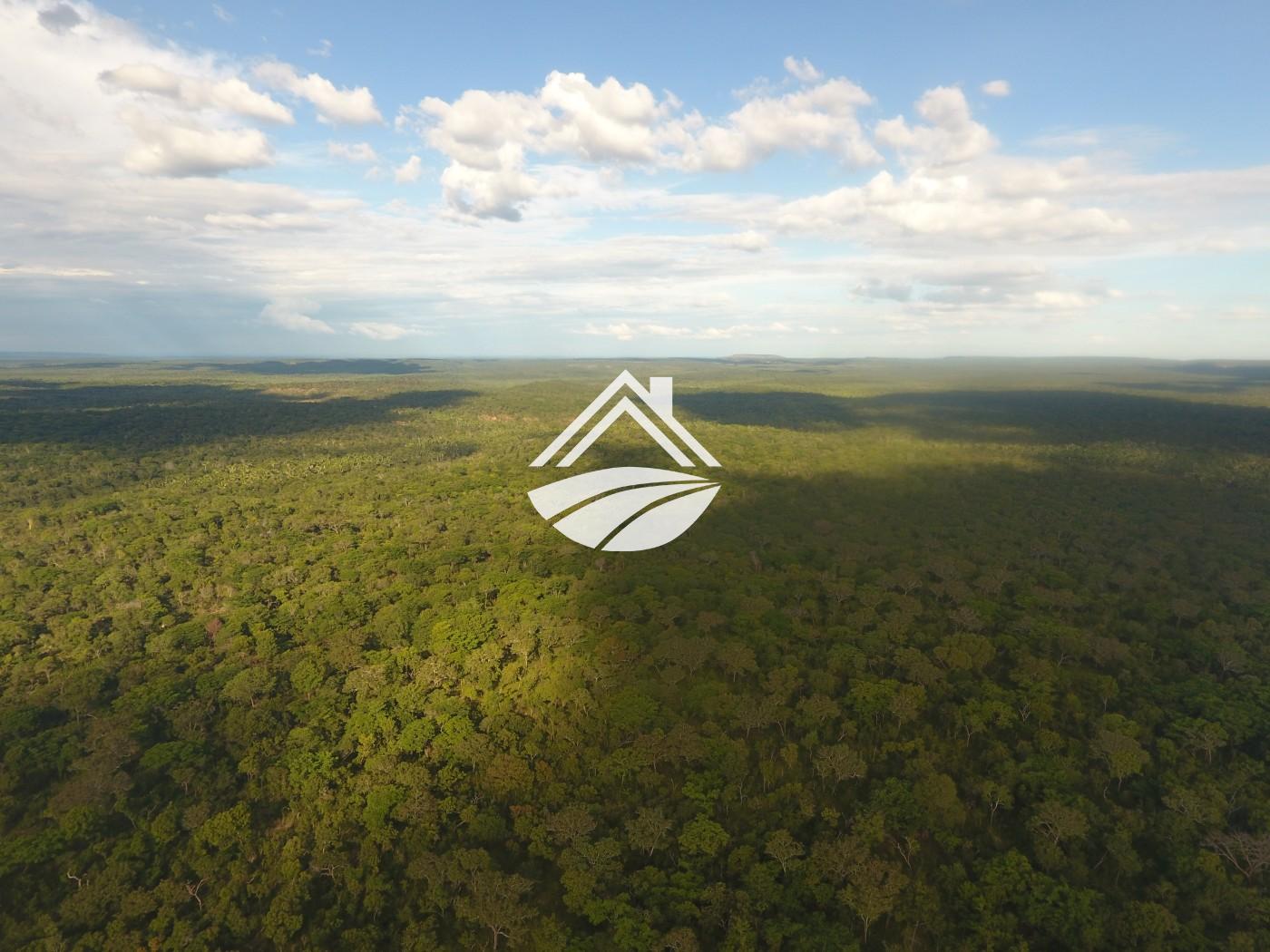 Fazenda, 1 m² - Foto 10