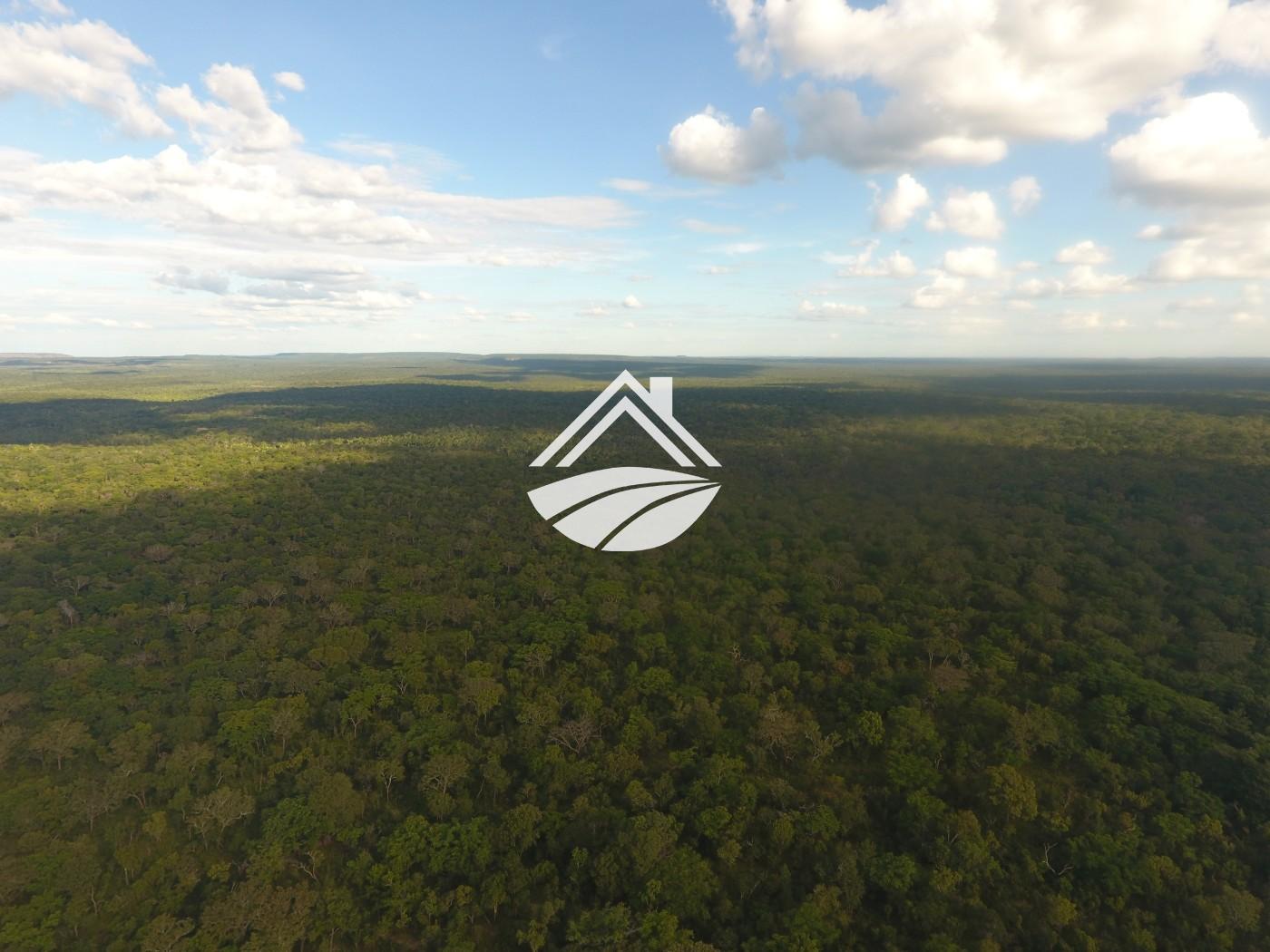 Fazenda, 1 m² - Foto 11