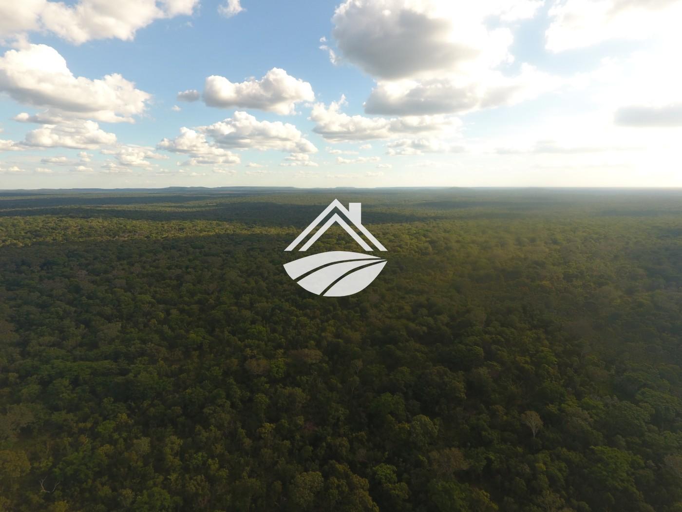 Fazenda, 1 m² - Foto 13